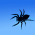 Arachnophobia: fear of spiders